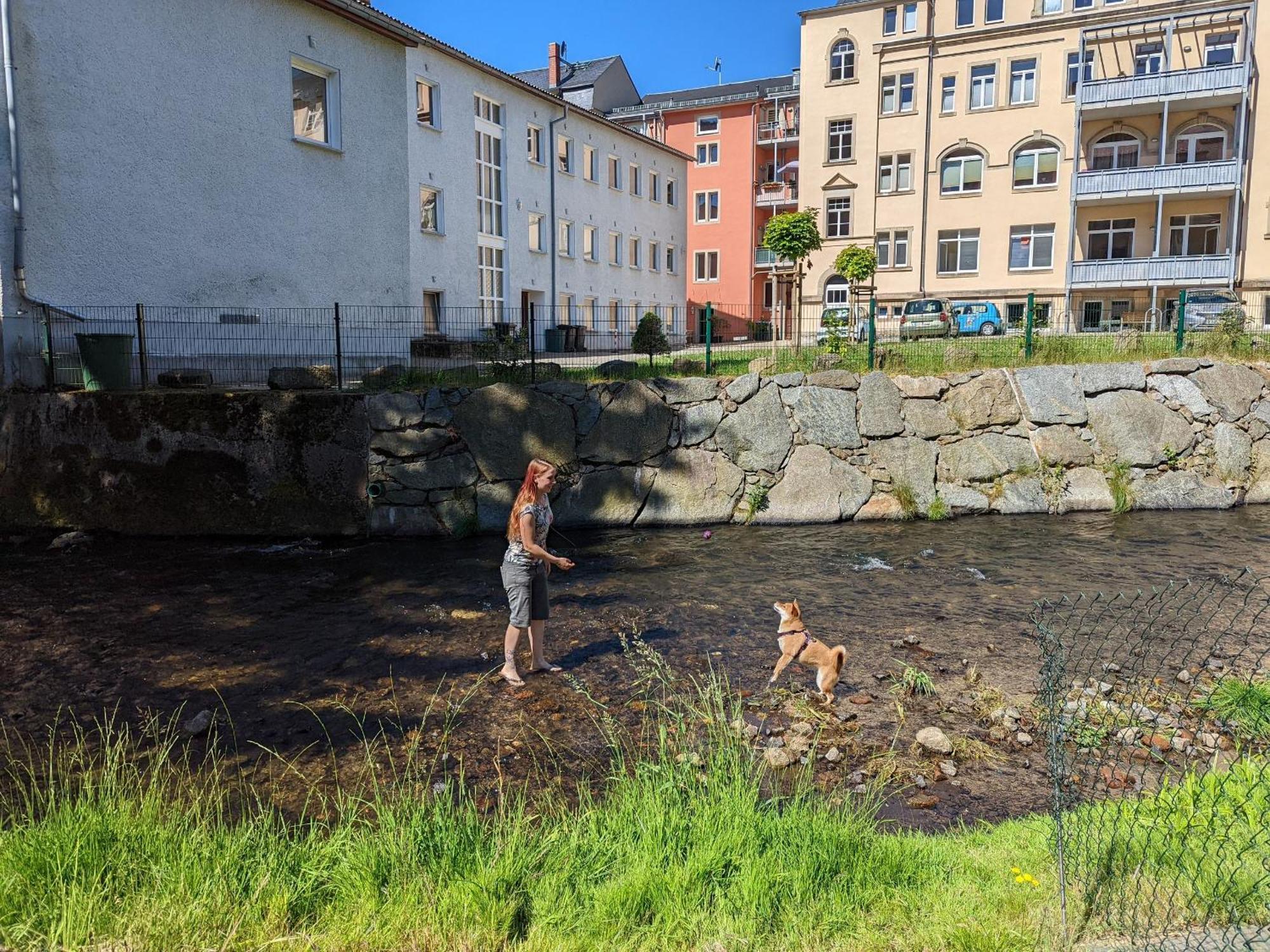 Ferienwohnung F2 - Urlaubsmagie Sauna, Whirlpool, Pool & Garten Sebnitz Exterior foto